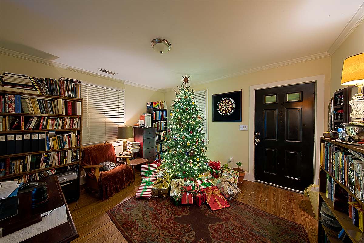IMAGE: http://chuck-d.net/images/potn/ChristmasTrees/Christmas%20Tree%202016%20HDR%2011mm.jpg