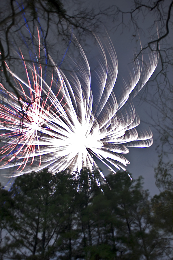 IMAGE: http://chuck-d.net/images/potn/NYFireworks2016/New%20Year%20Fireworks%202016%201.jpg